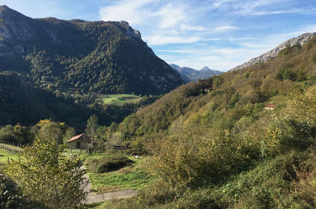 Tras salir de Amieva, en Cueto Carrales