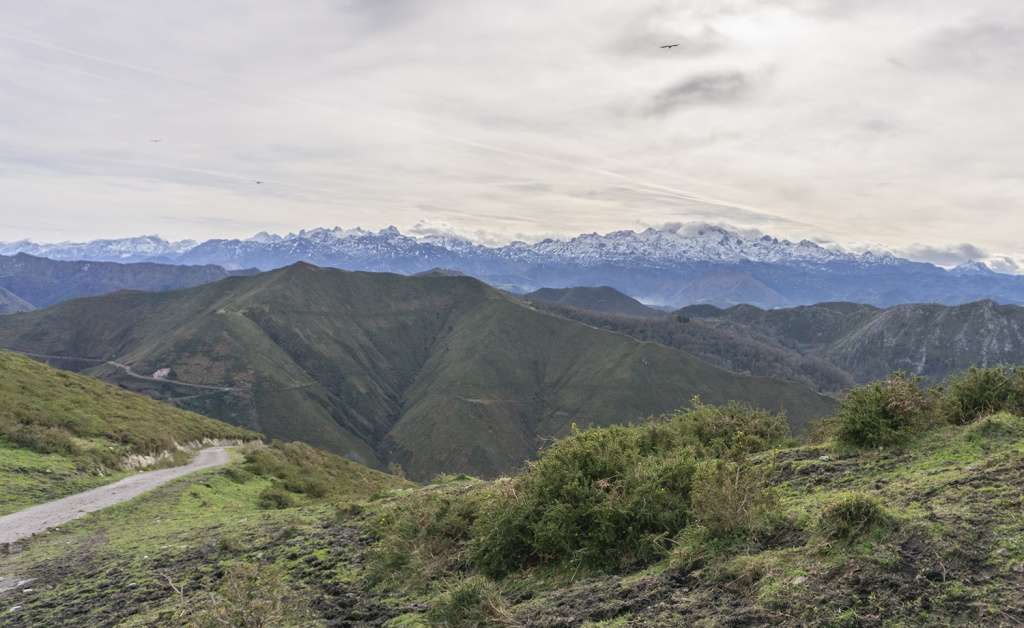 Picos de Europa al fondo