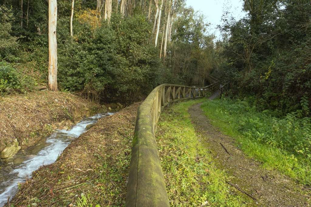 Acompañamos al río Vallina en su último tramo