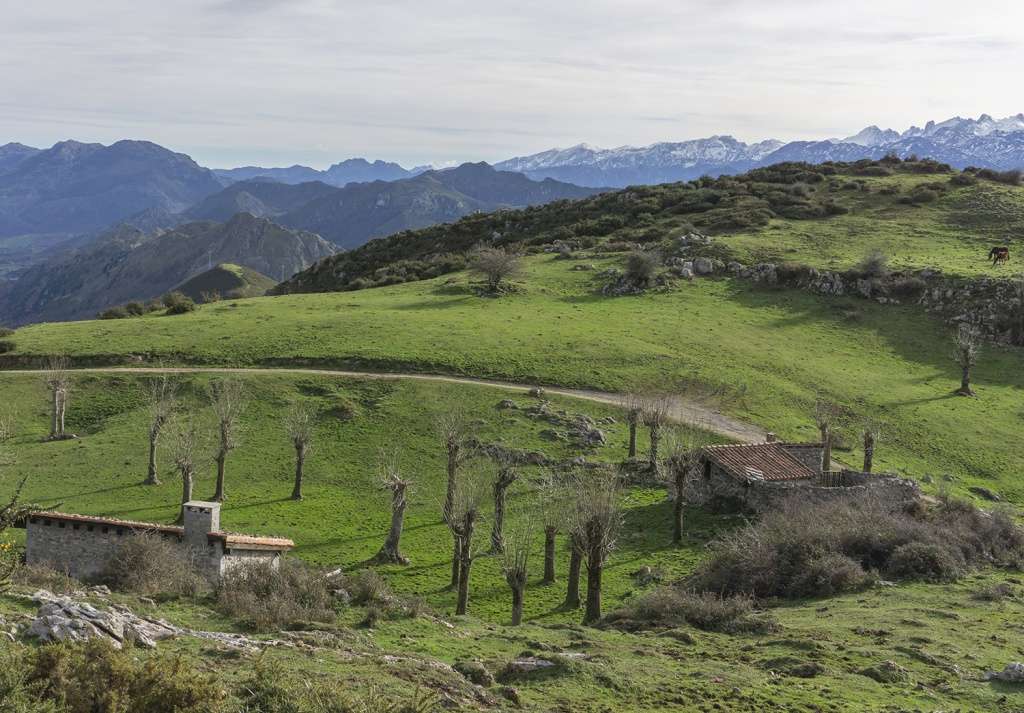 Vista de las cabañas de la majada de Hueses