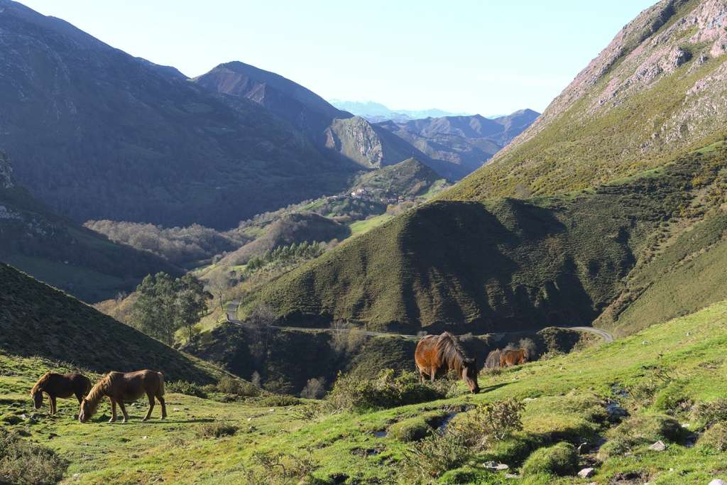 Vista Oeste, al fondo el Mazucu