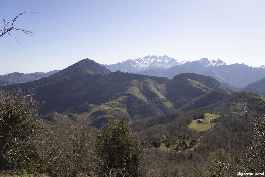 Vista este